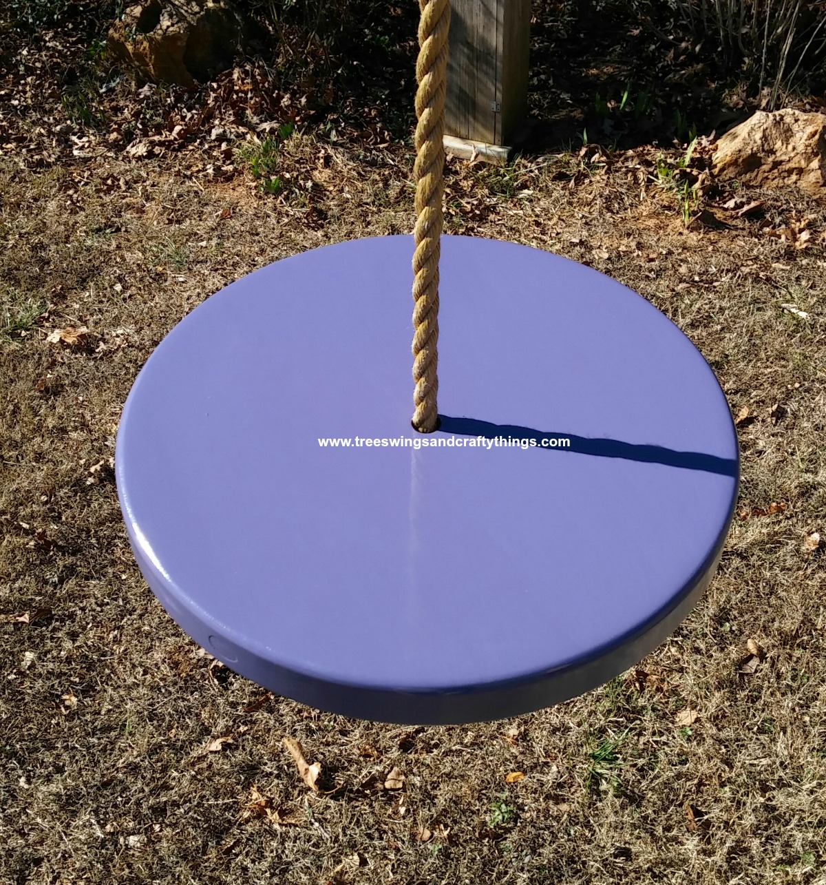 Purple Disc Tree Swing