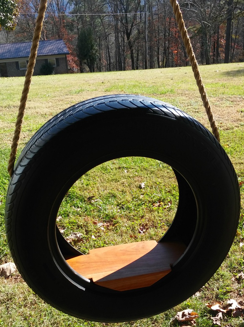 Classic Tire Swing