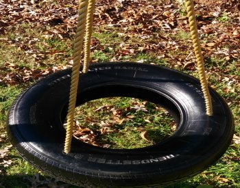 Spinster Tire Swing