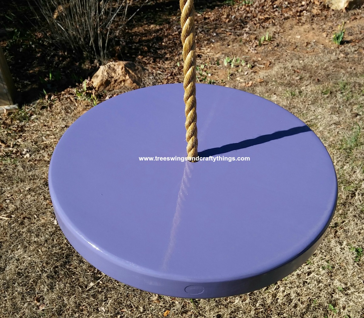 Purple Disc Tree Swing