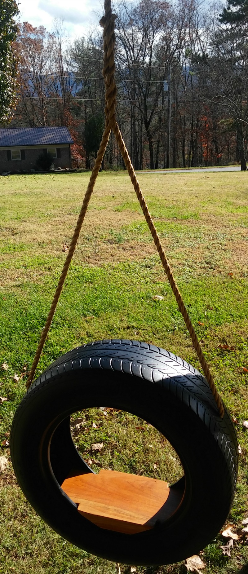 Classic Tire Swing